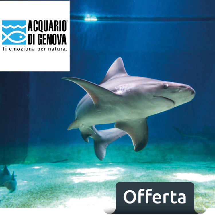 sconto acquario di genova