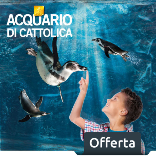 sconto acquario di attolica